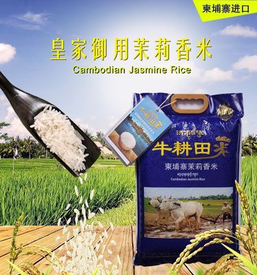 柬埔寨进口茉莉香米皇家御用新米10斤138元